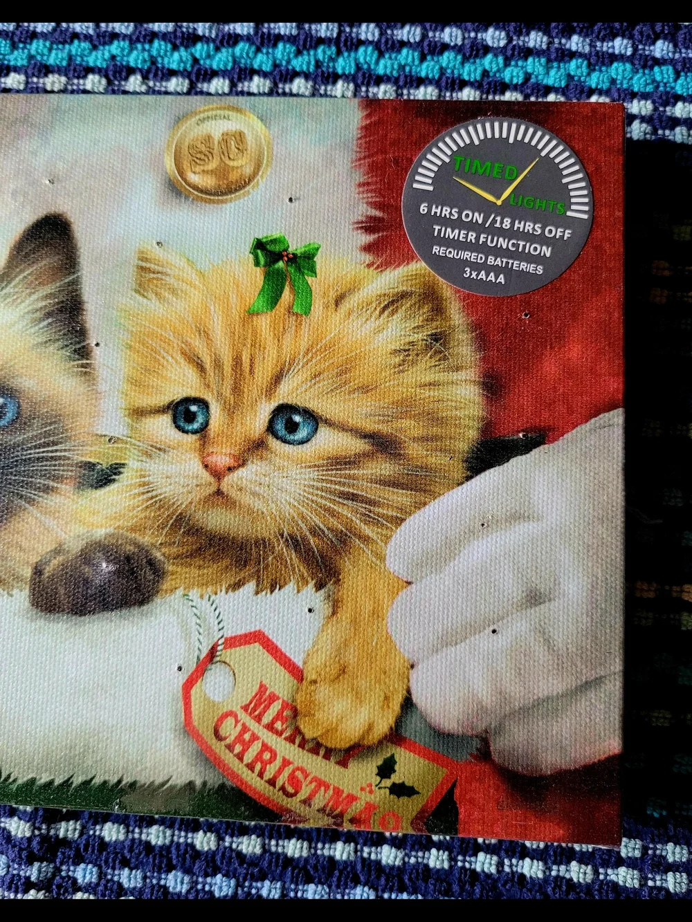 Canvas Festive Cat Light Up Picture Pouch with Blue-Eyed Brown & Cream Kittens
